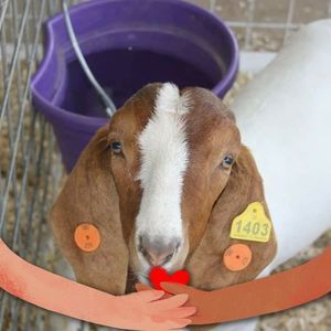 Meet your Posher, Delynn